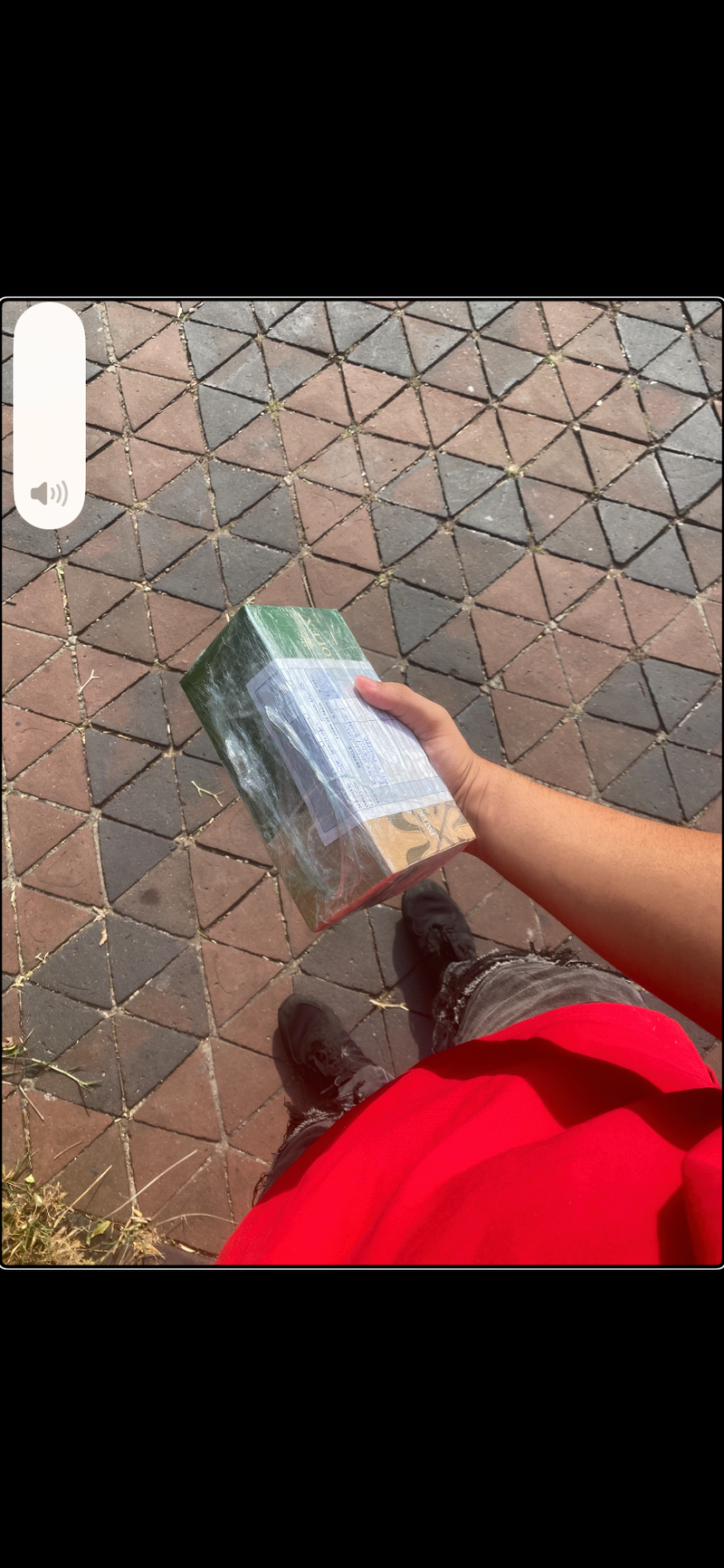 Entrega Montier